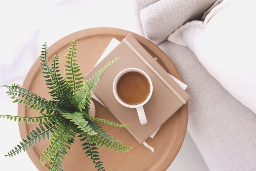 cup of coffee on books next to a plant