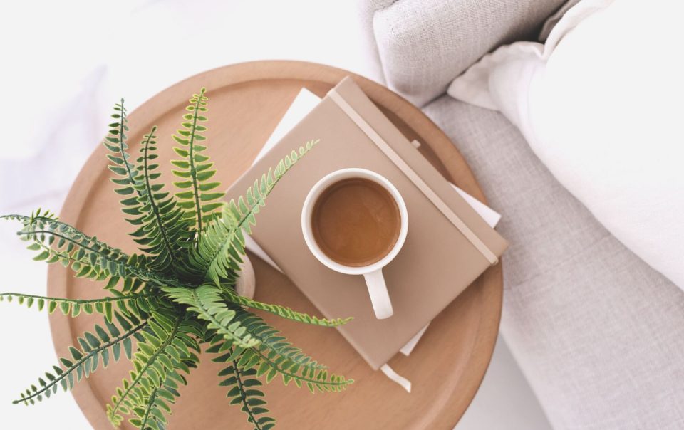 cup of coffee on books next to a plant