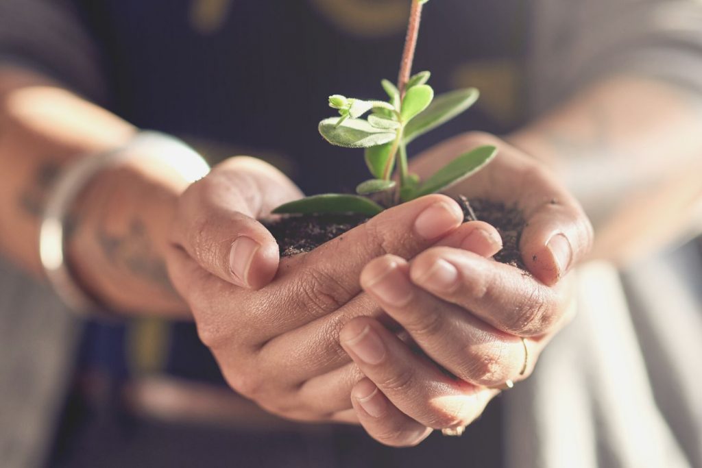 nurturing growth
