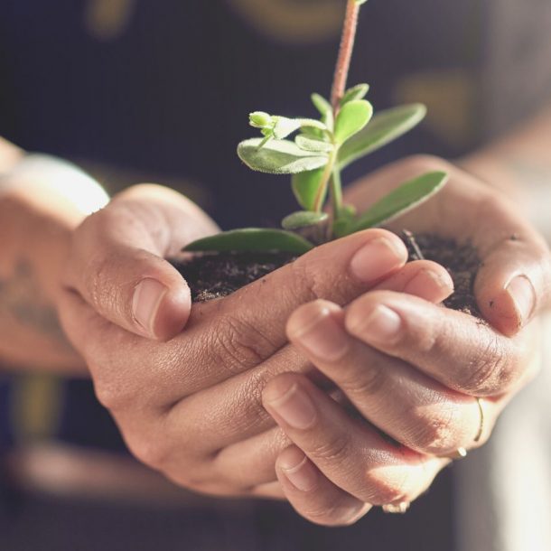 nurturing growth