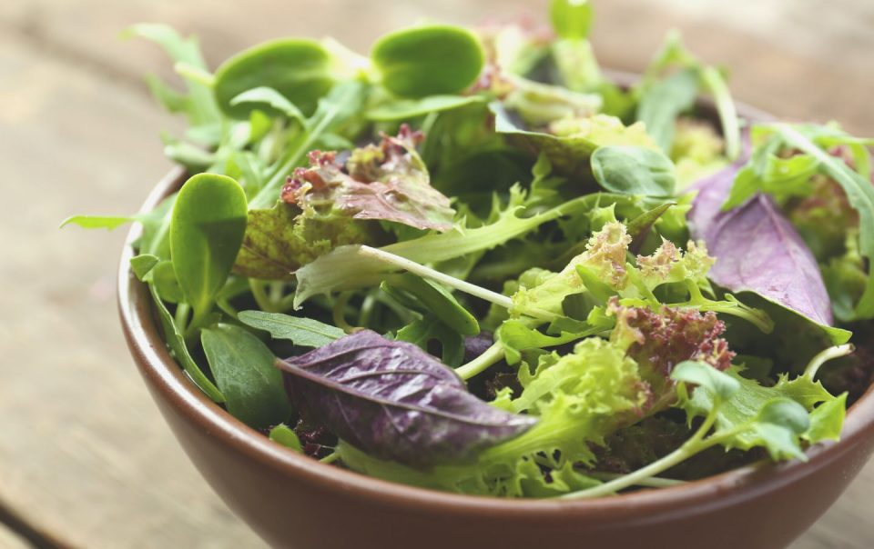 fresh mixed green salad in bowl